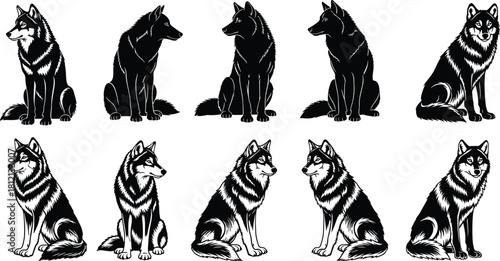 Wolf silhouette vector set, sitting wild animal collection, black and white predator logo design, tattoo art style, isolated on white background, forest canine illustration