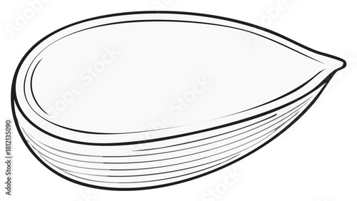 Outline of a single pumpkin seed with curved lines