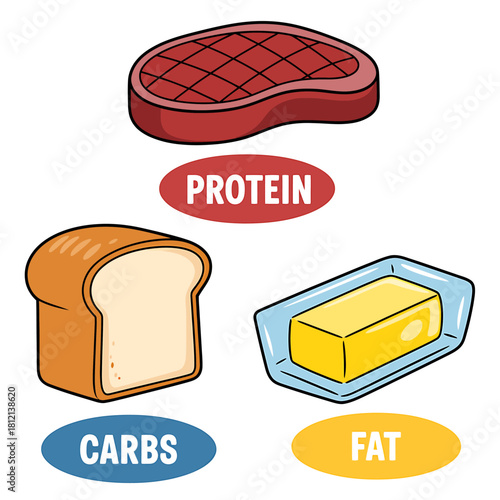 Macronutrient food groups illustration: protein, carbs, and fat