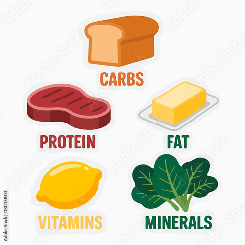 Essential food groups for a balanced diet and healthy living
