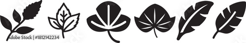 various leaves icon set vector icon, leaf icon, nature icon