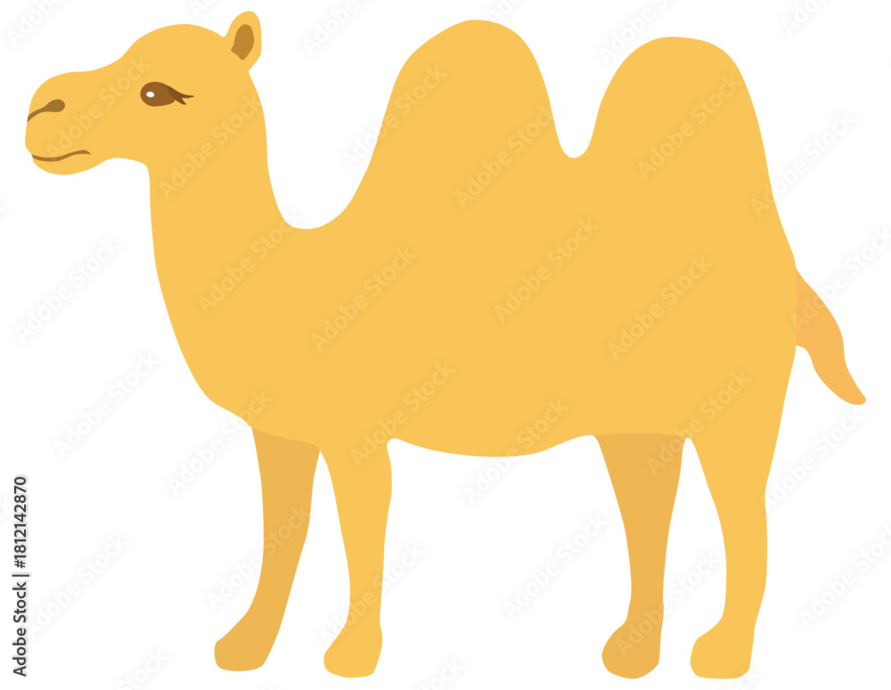 Obraz premium シンプルなラクダのイラスト ベクター素材