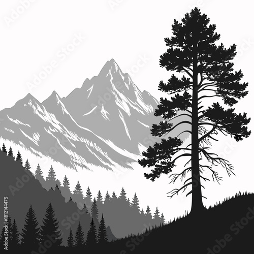 winter mountain landscape