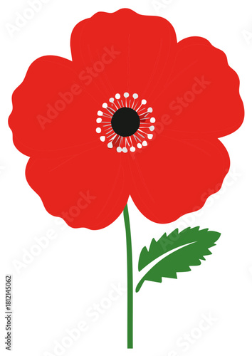 Isolated vector illustration of a single red poppy flower a symbol for memorial and remembrance day