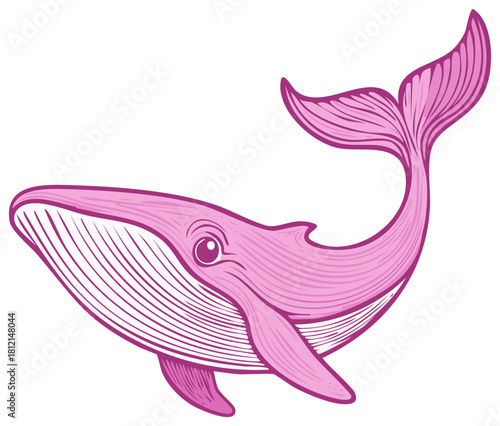 Stylized Pink Whale Illustration Swimming Gracefully in Ocean Water Depths Majestic Marine Life