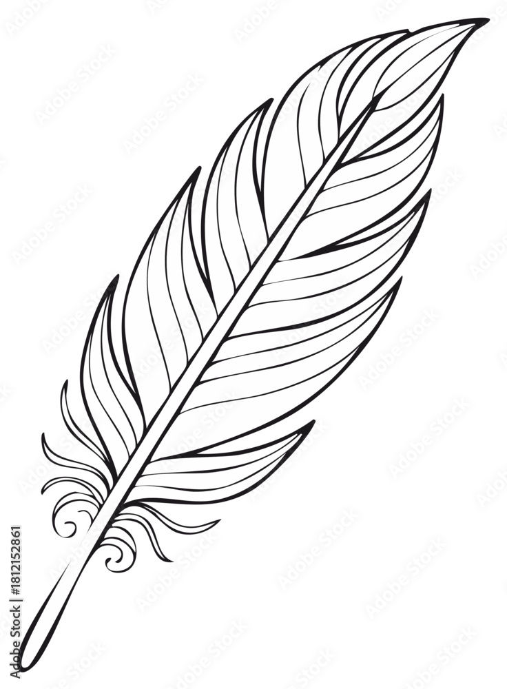 Obraz premium Elegant quill pen drawing with swirling flourishes and delicate lines