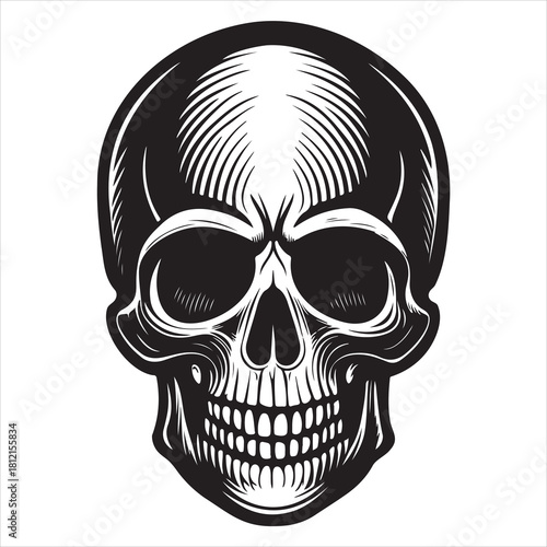Human skull illustration featuring intricate line work suitable for gothic or anatomical themes with bold contrasts and graphic style