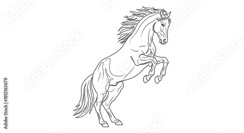 Black and white line drawing of a horse rearing up animal equine