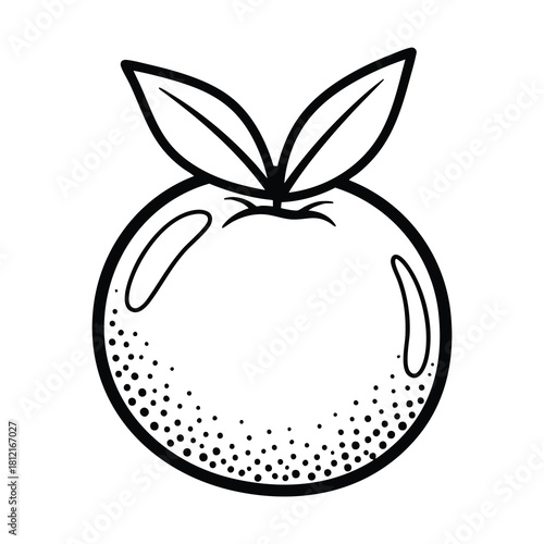 Hand Drawn Orange Fruit With Two Leaves Illustration.