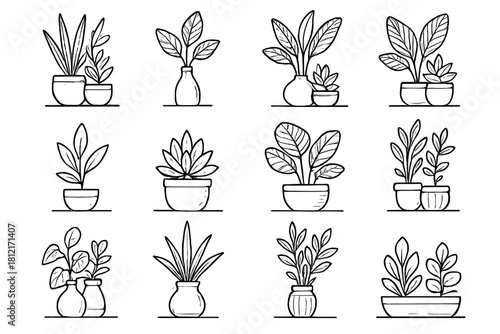 Plant ink setup vases icon sketch plants succulents tabletop vector leafy collection
