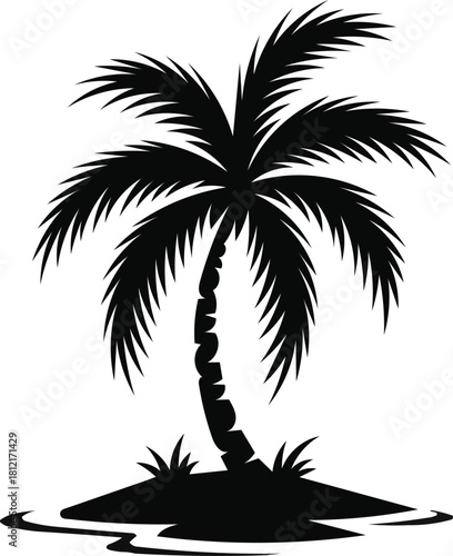 Palm tree vector 