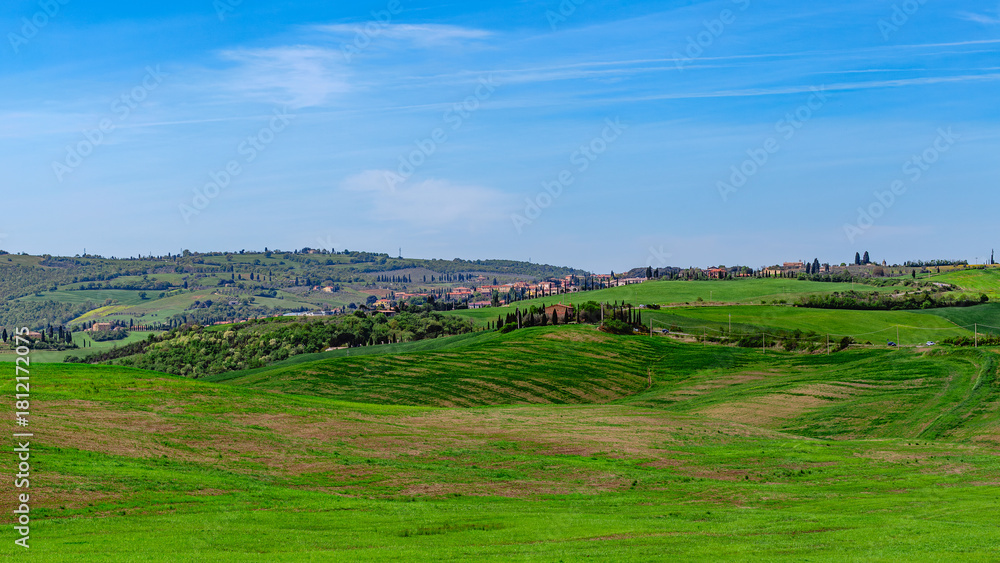 Fototapeta premium Rolling green hills under a clear blue sky in a rural landscape of Tuscany