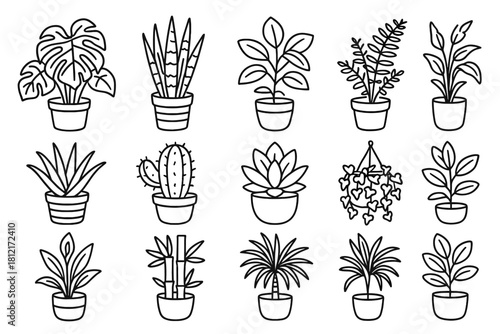 Indoor icons fern plant ficus vera icon cactus ivy rubber vector succulent