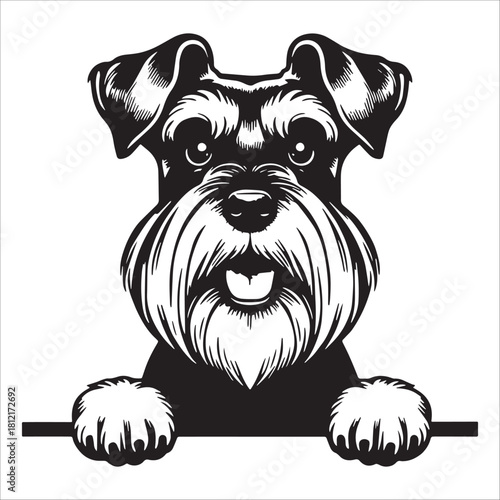 Schnauzer Dog Peeking Over Fence Icon