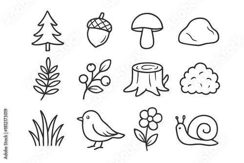 Branch berry acorn vector grass forest bird mushroom fern icon snail set
