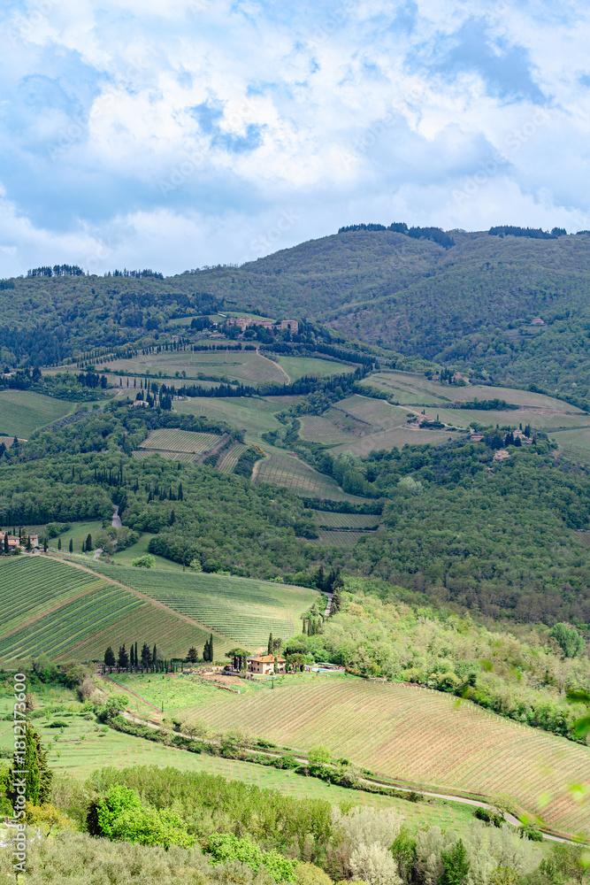 Fototapeta premium Rolling hills and lush vineyards of Tuscany under a bright cloudy sky