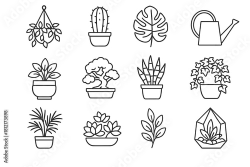 Bonsai icon palm plant planter hanging leaf watering vector indoor pot