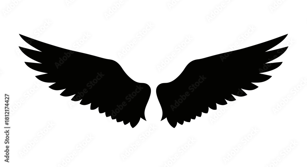 Obraz premium Black wings with transparent background