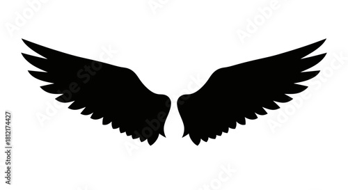 Black wings with transparent background