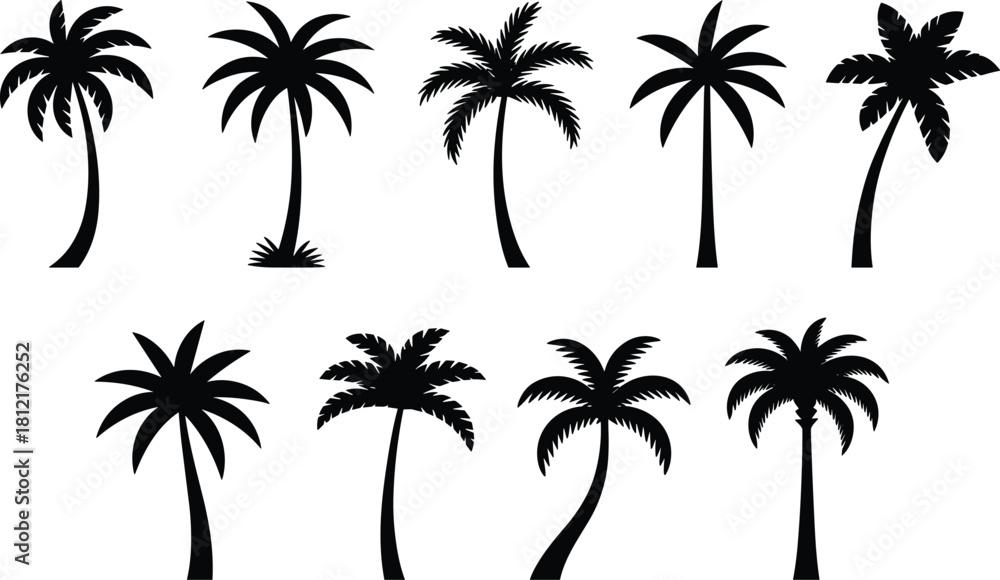 Fototapeta premium Palm tree silhouettes, tropical icons, frond variations, curved trunks, black vector, beach design, nature sketch, foliage symbol