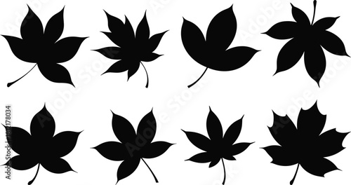Leaf silhouettes, botanical icons, lobed shapes, black vector, foliage design, nature sketch, plant morphology, taxonomy symbol