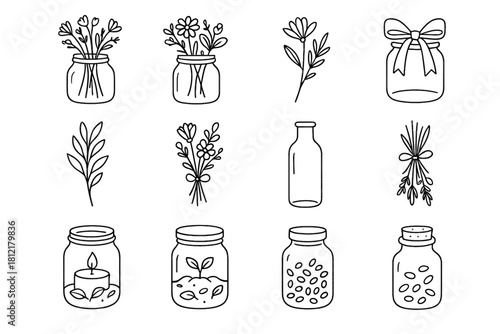 Ribbon seed icons bow mason cork lid floral jar vector dried icon