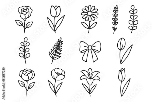 Daisy floral bud vector rose tied leaf peony flower ribbon array icon