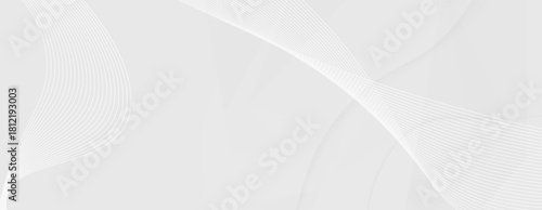 Abstract white and gray flowing lines background minimal texture