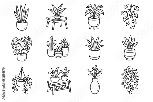 Plant ceramic icon pots drawn interior vines hand stylish pencil table vector