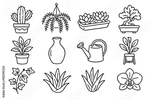 Ivy set tree orchid vector plant aloe fern branch icon cactus leafy