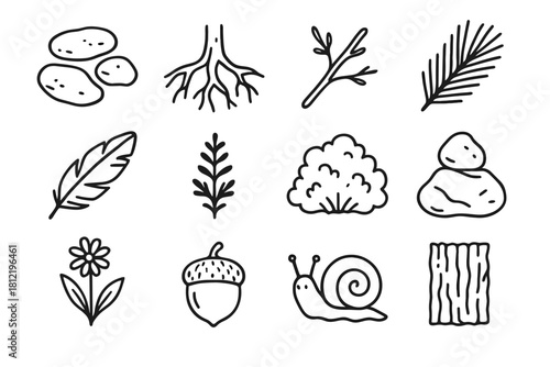 Snail forest wildflower icon branch small twig feather stepping vector texture set