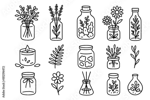 Terrarium herbs jar reed moss sprig bloom candle vector lid icon collection