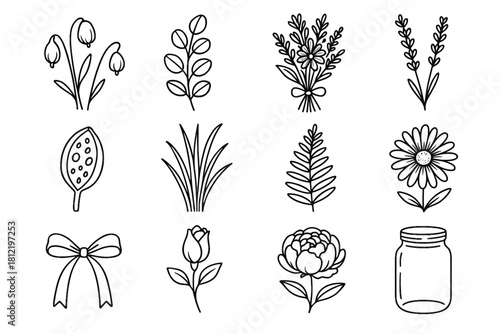 Vector icons pod daisy sprig grass branch icon rustic tied floral fern