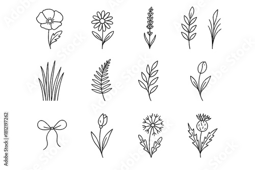 Bud daisy wildflower icon vector string dandelion collection grass leaf thistle branch