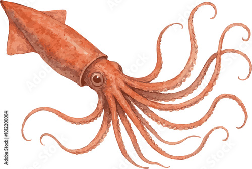 Vector watercolor realistic illustration of a giant octopus