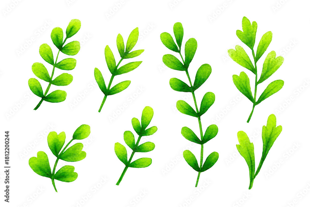 Fototapeta premium Green leaf branch watercolor illustration isolated on transparent background botanical design fresh foliage nature element decorative plant spring vibe hand painted art