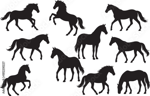 Vector collection of silhouettes of horses each isolated on white