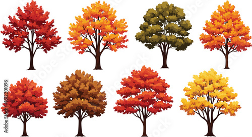 Set of eight deciduous autumn trees with colorful foliage, seasonal vector illustration for nature, education, design, and decoration themes