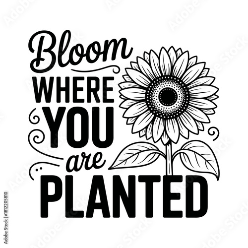 Bloom where you are planted sunflower inspirational quote