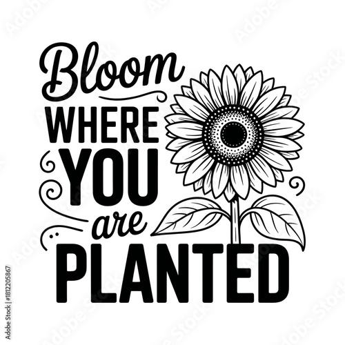Bloom where you are planted inspirational sunflower quote