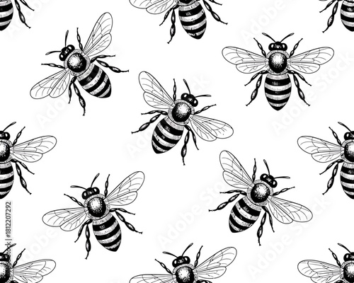Seamless pattern of hand drawn bees on white background