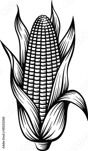 Black and White Line Art Corn Cob with Leaves vector illustration