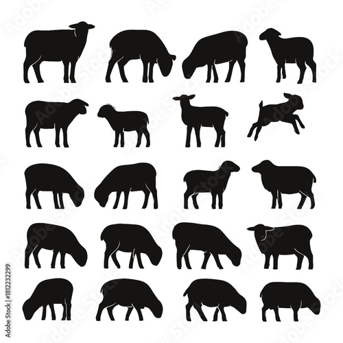 Sheep silhouette icon. set of sheep silhouette icon. sheep icon. Silhouette set of sheep in various poses on a white background