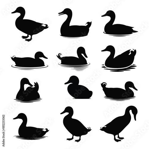 duck silhouette icon set. set of duck silhouette icon. duck icon. Collection of duck silhouettes in various poses on white background
