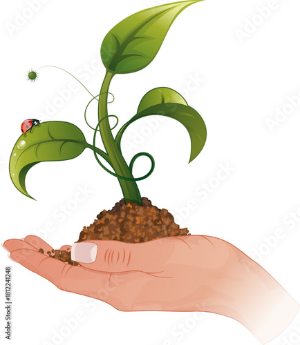 Woman Hand with the Sprout