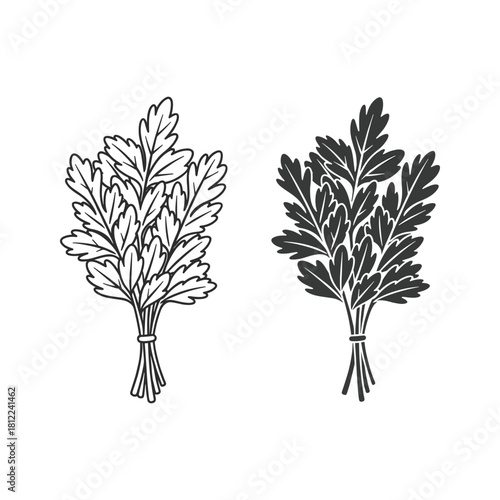 Parsley herb bundle outline and solid silhouette vector icon