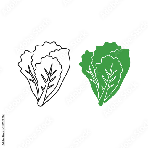 Lettuce vector icons: outline and green filled design