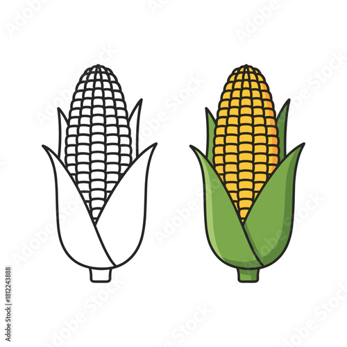 Corn cob outline and color illustration set vector