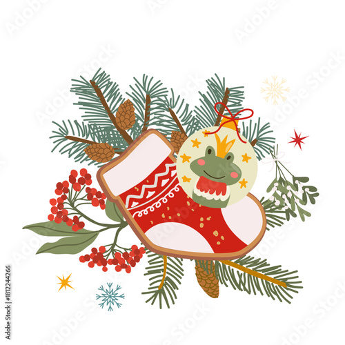 Vector christmas gingerbread sock cookie and pine, fir branches, bauble with frog illustration isolated on transparent background. Christmas clipart for food background. Xmas decor with cotoneaster.
