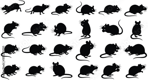 Collection of Mouse and Rat Silhouettes Rodent Poses Running Standing Eating Small Animals Pest Control Biology Science Laboratory Isolated Grey Background
